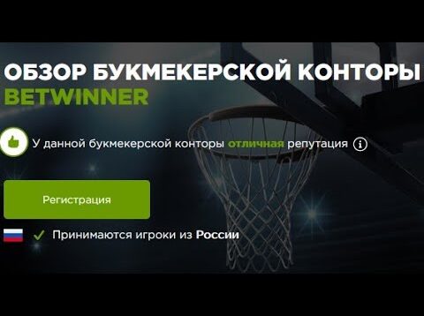 Experience the Thrill of Betting with Bet Winner Online