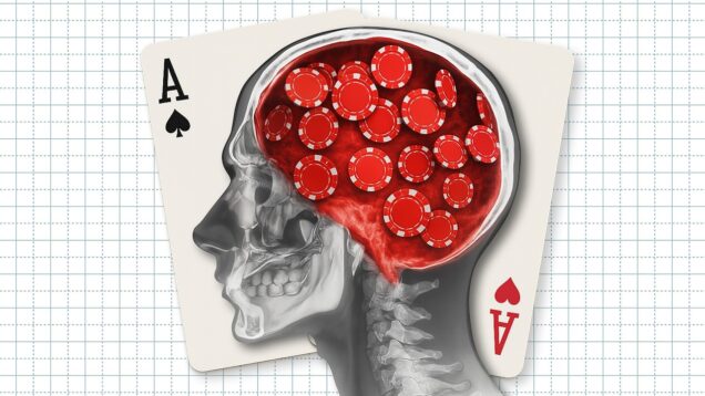 Adventures Beyond Borders in an Unforgettable Challenge