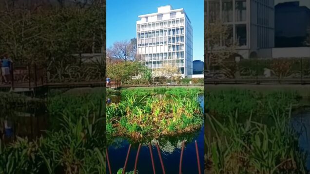 Enchanted Wins Await at Royal Reels Down Under