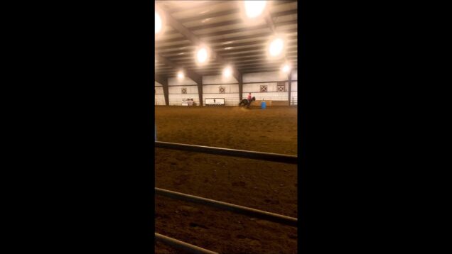 Die faszinierende Welt von rt bet und das rtbet Casino